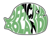 logo rolandi
